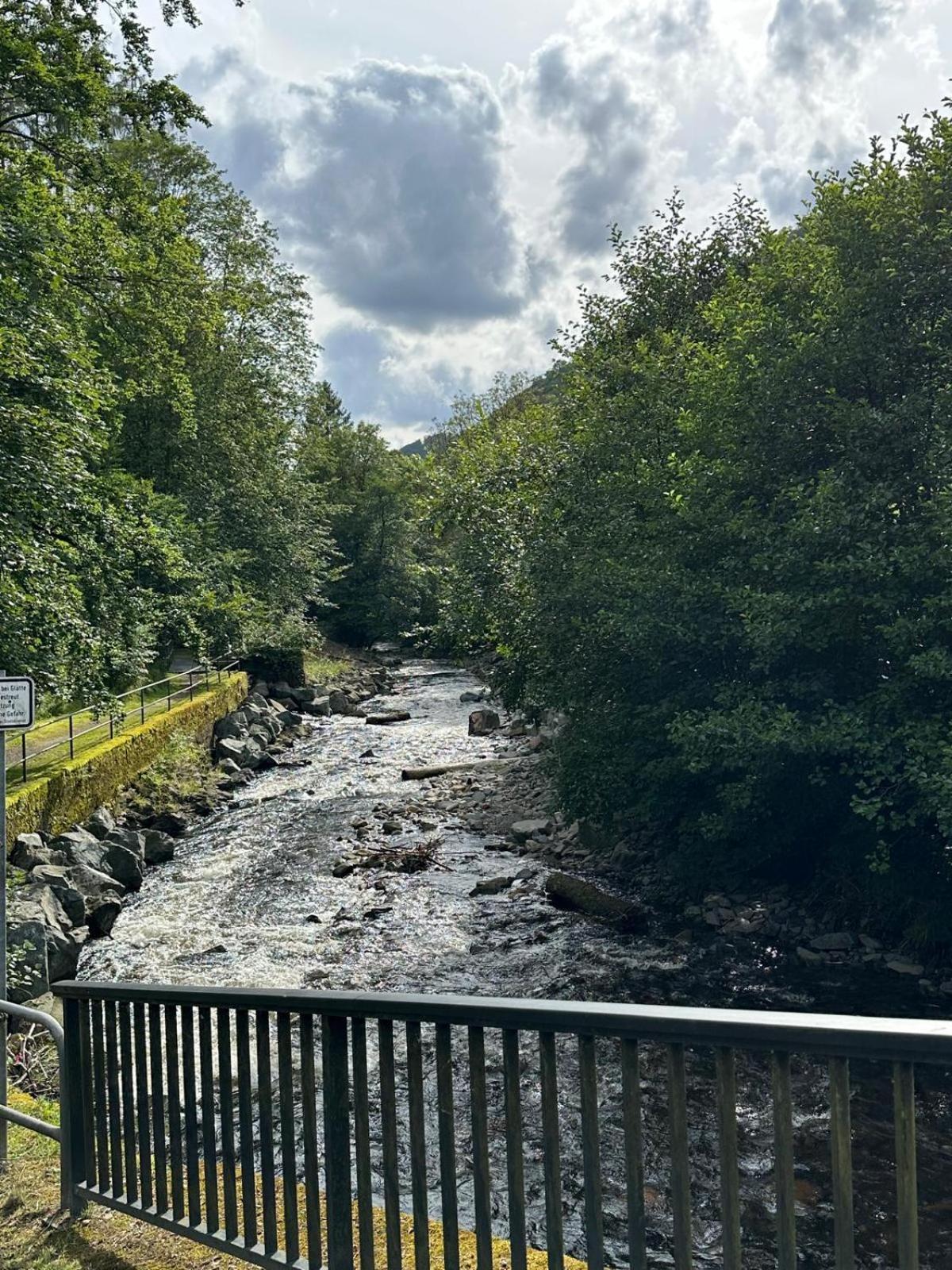 Ferienbutzen Harz Heikenberg, Bad Lauterberg Mit Schwimmbad Und Sauna Εξωτερικό φωτογραφία