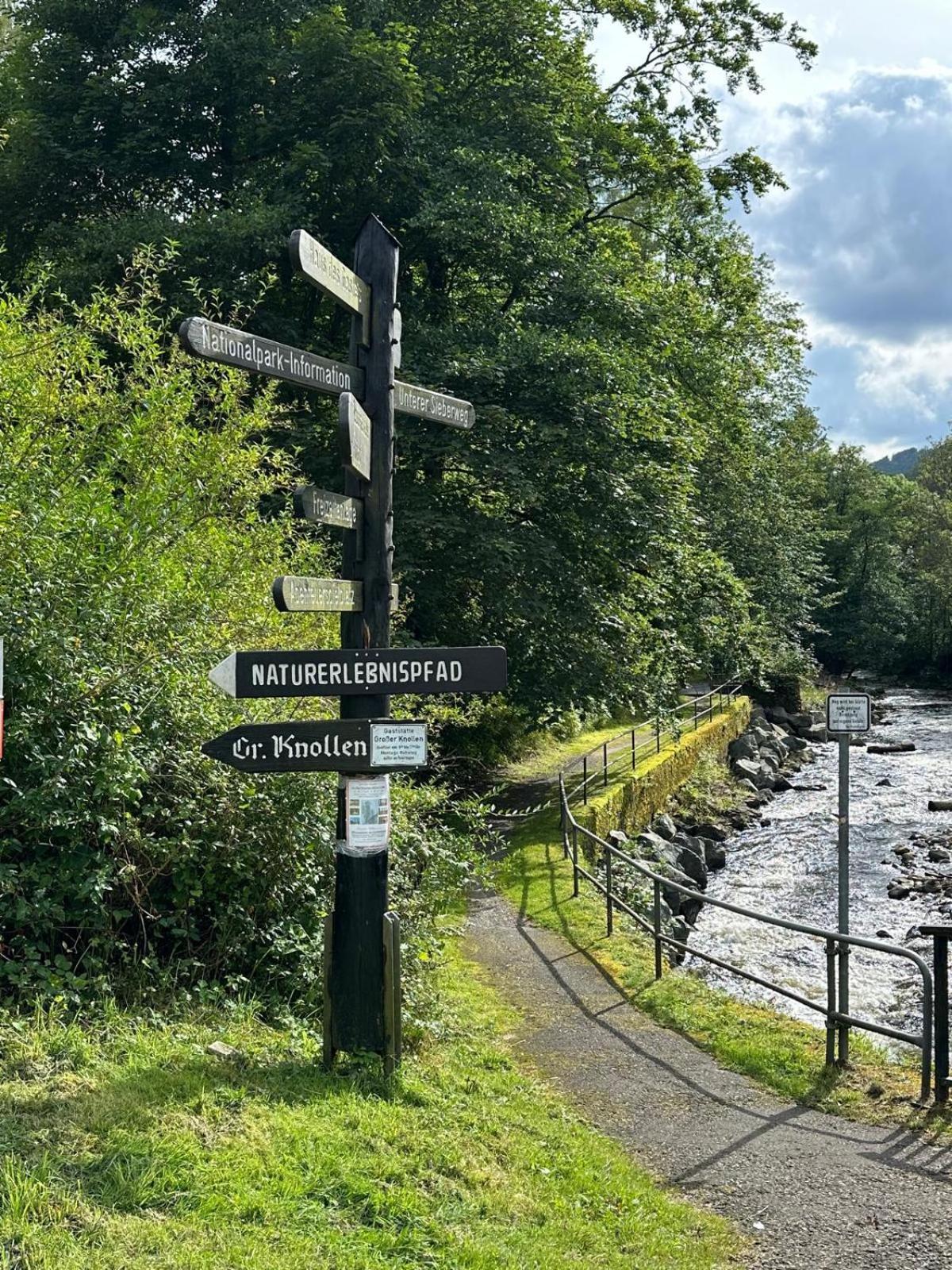 Ferienbutzen Harz Heikenberg, Bad Lauterberg Mit Schwimmbad Und Sauna Εξωτερικό φωτογραφία